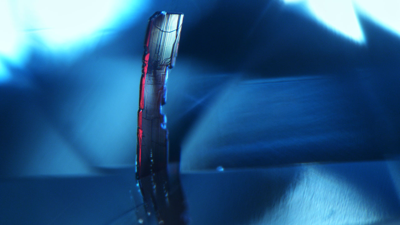 Red prismatic tantalite breaking the surface of a greenish blue sapphire. Photomicrograph by Axle Estrella; field of view 1.93 mm. Red prismatic tantalite breaking the surface of a greenish blue sapphire. Photomicrograph by Axle Estrella; field of view 1.93 mm.