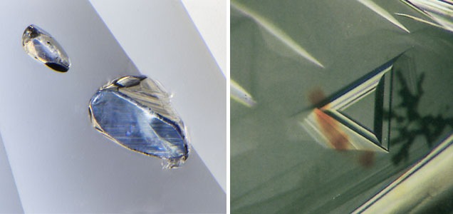 photomicroscopy
