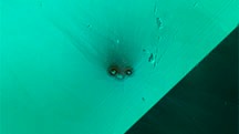 Figure 2. Top view of an altered etch tube in tourmaline resembling the face of a bird with a fuzzy tuft. Photomicrograph by Jamie Price; field of view 1.48 mm. Figure 2. Top view of an altered etch tube in tourmaline resembling the face of a bird with a fuzzy tuft. Photomicrograph by Jamie Price; field of view 1.48 mm.