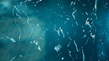 Figure 1. Immiscible two-phase fluid inclusions in a 0.48 ct Paraíba tourmaline. All circular phases were identified as gaseous CO2 by confocal Raman spectroscopy. Photomicrograph by Kazuko Saruwatari; field of view 1.10 mm. Figure 1. Immiscible two-phase fluid inclusions in a 0.48 ct Paraíba tourmaline. All circular phases were identified as gaseous CO2 by confocal Raman spectroscopy. Photomicrograph by Kazuko Saruwatari; field of view 1.10 mm.