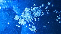 Group of aragonite snowflake inclusions in opal likely from Ethiopia. Photomicrograph by Narint Jaisanit; field of view 1.80 mm. Group of aragonite snowflake inclusions in opal likely from Ethiopia. Photomicrograph by Narint Jaisanit; field of view 1.80 mm.