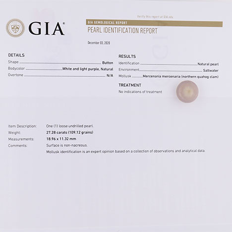 打印的 GIA 珍珠鉴定报告上有一颗圆蛤珍珠。 打印的 GIA 珍珠鉴定报告上有一颗圆蛤珍珠。
