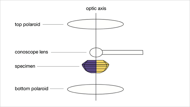 Polariscope Illustration