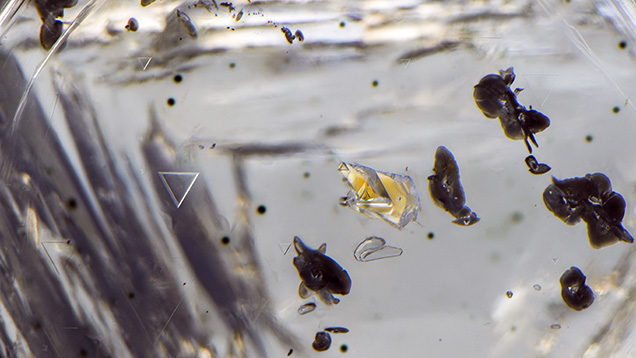 Figure 2. This yellow-orange transparent crystal of almandine-pyrope garnet is a very rare inclusion in diamond. The example shown here has a typical somewhat rounded habit. Photomicrograph by Nathan Renfro; field of view 3.84 mm. Figure 2. This yellow-orange transparent crystal of almandine-pyrope garnet is a very rare inclusion in diamond. The example shown here has a typical somewhat rounded habit. Photomicrograph by Nathan Renfro; field of view 3.84 mm.