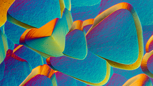 MICRO-WORLD